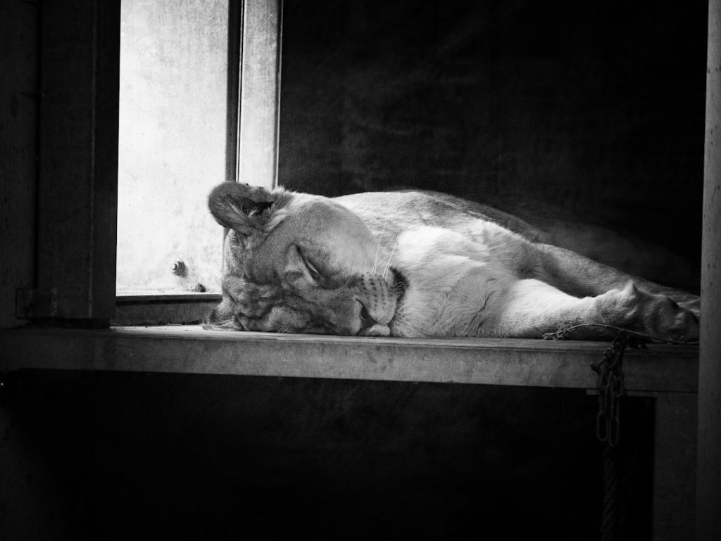 Photo Depression Anxiety Clinic Tigard Oregon