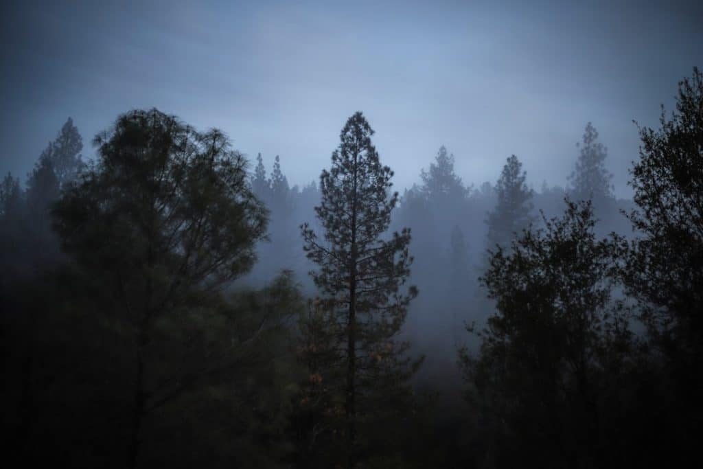 Photo Depression Anxiety Clinic Madera California