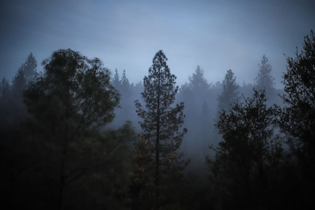 Photo Depression Anxiety Clinic Madera California