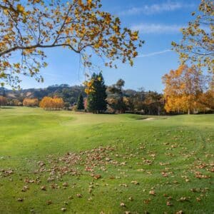 Photo Depression Anxiety Clinic Allen Texas